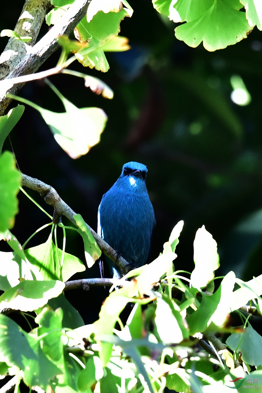 DSC_0336.JPG