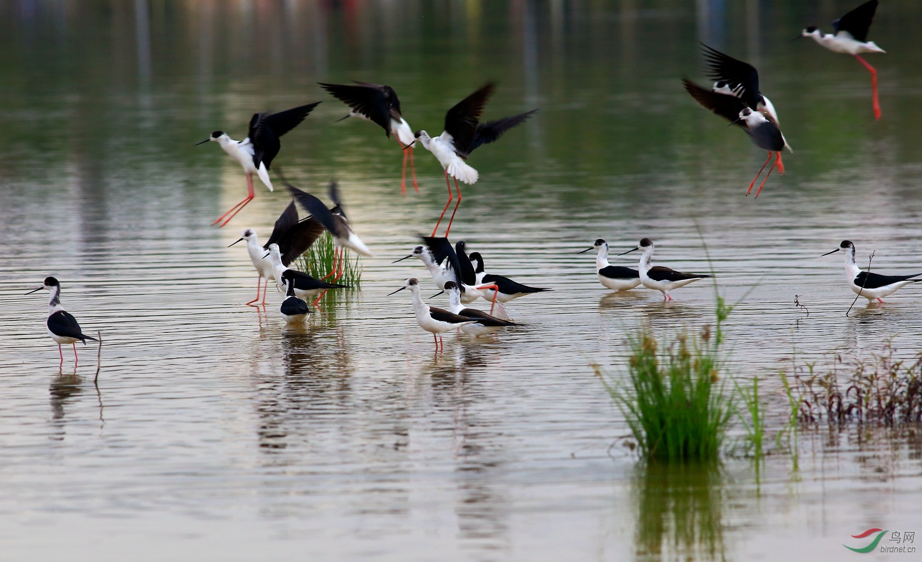 2020-04-04 16-40-18 (3).JPG