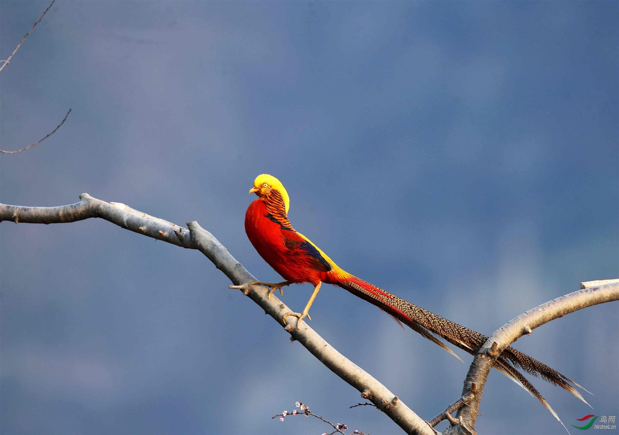 H46R5384_����_���� (2).jpg