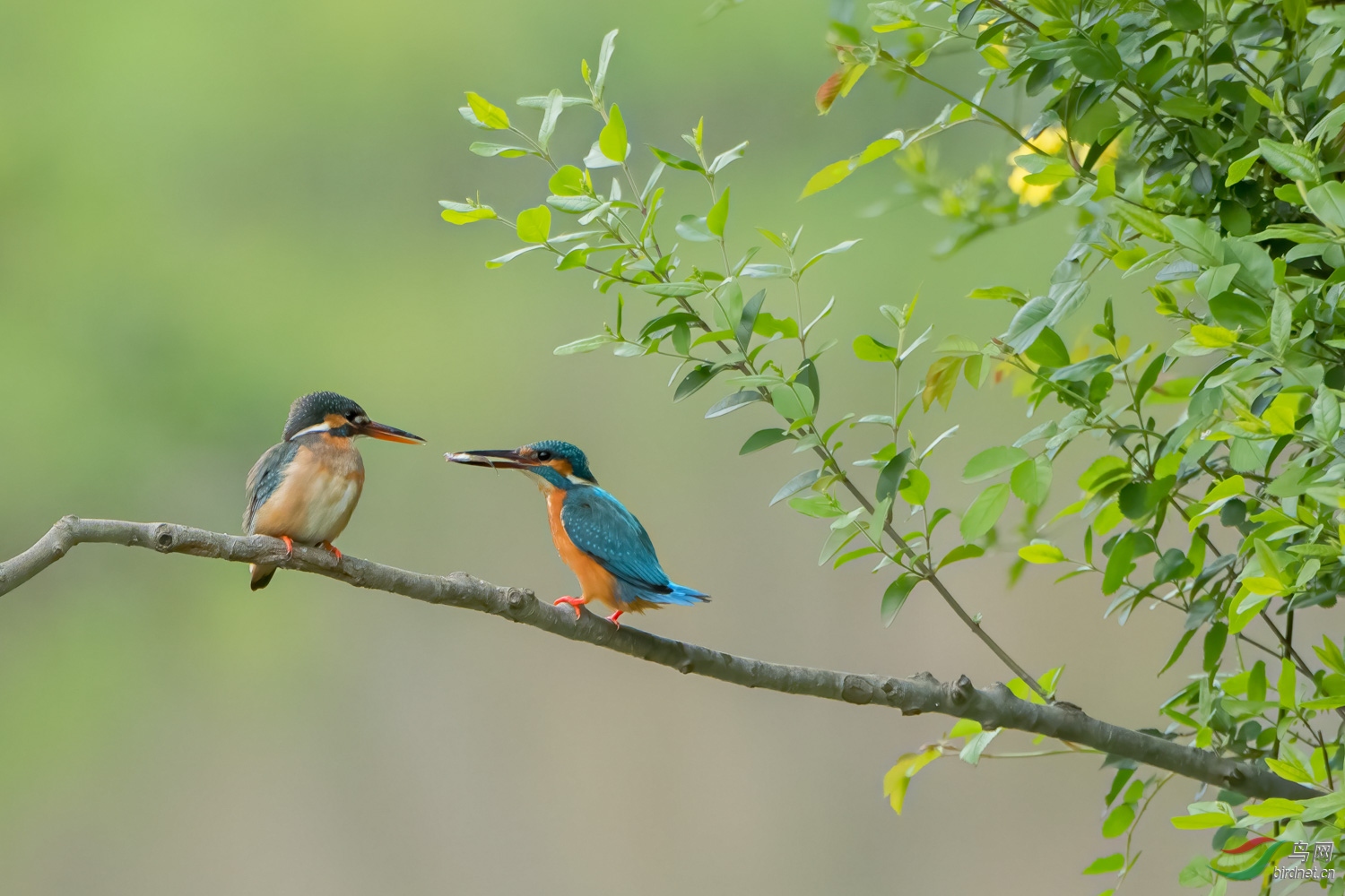 DSC_4210_1.jpg
