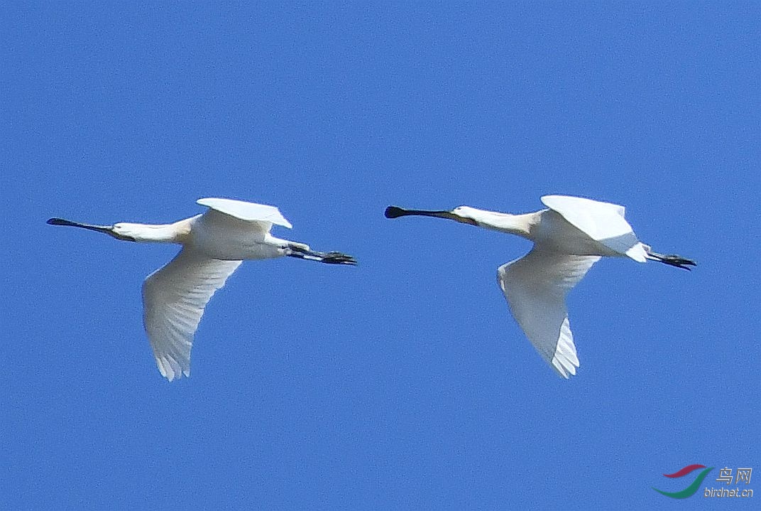 DSC_5635_����.jpg