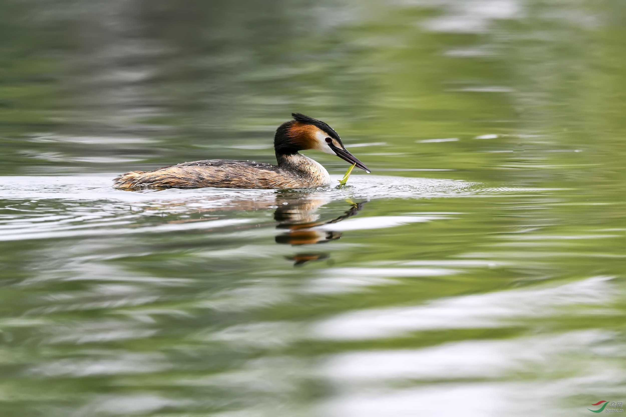 DSC_6703.jpg