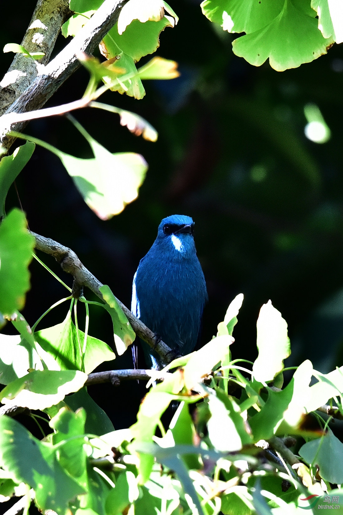 DSC_0339.JPG