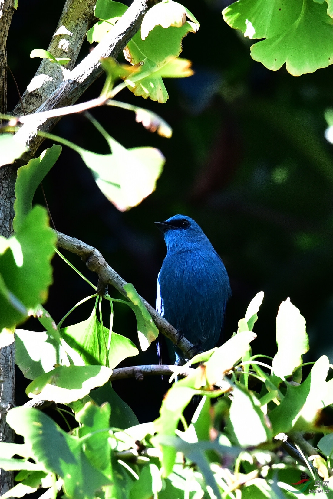 DSC_0340.JPG