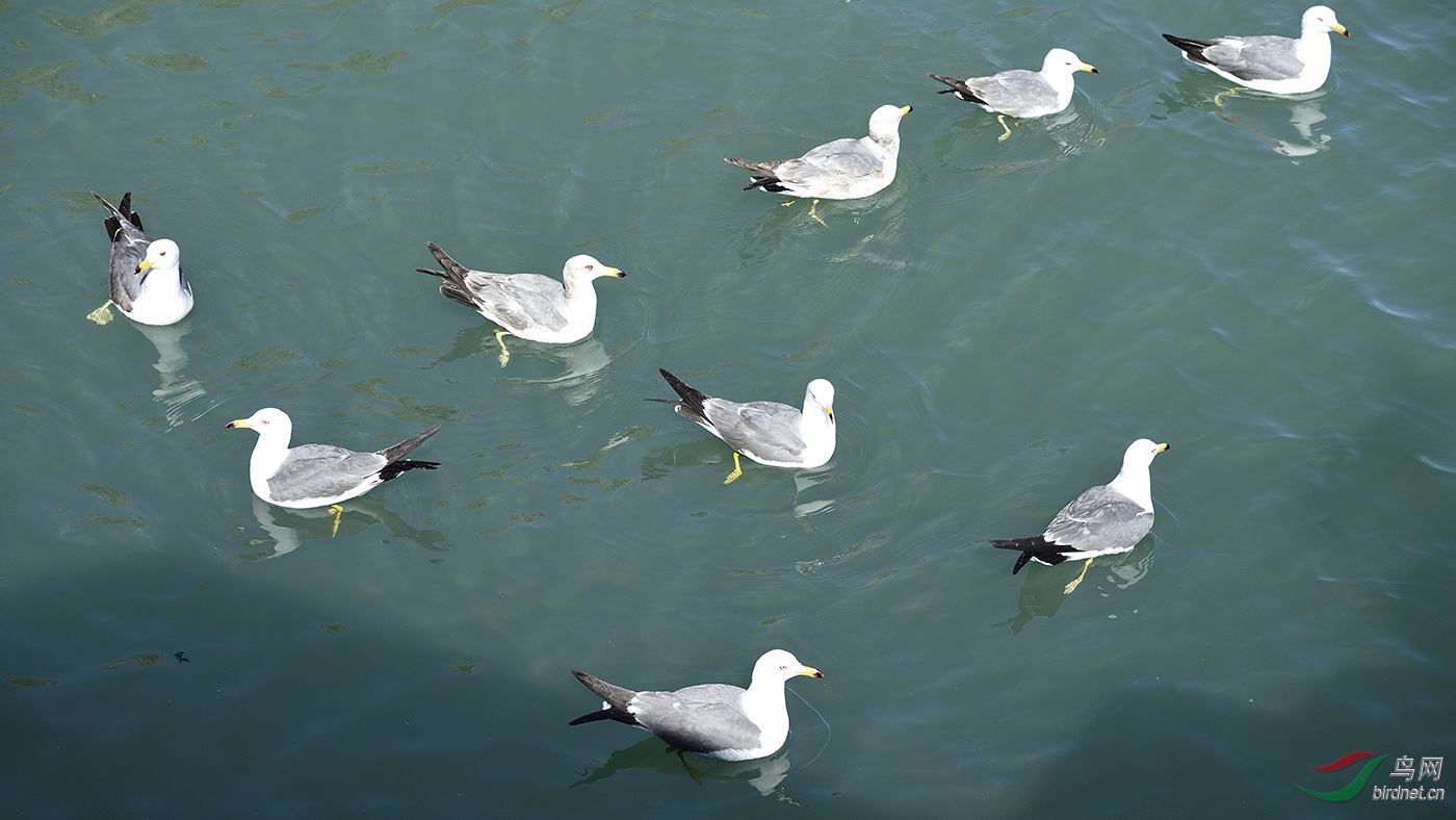 _DSC3187_20298a.jpg