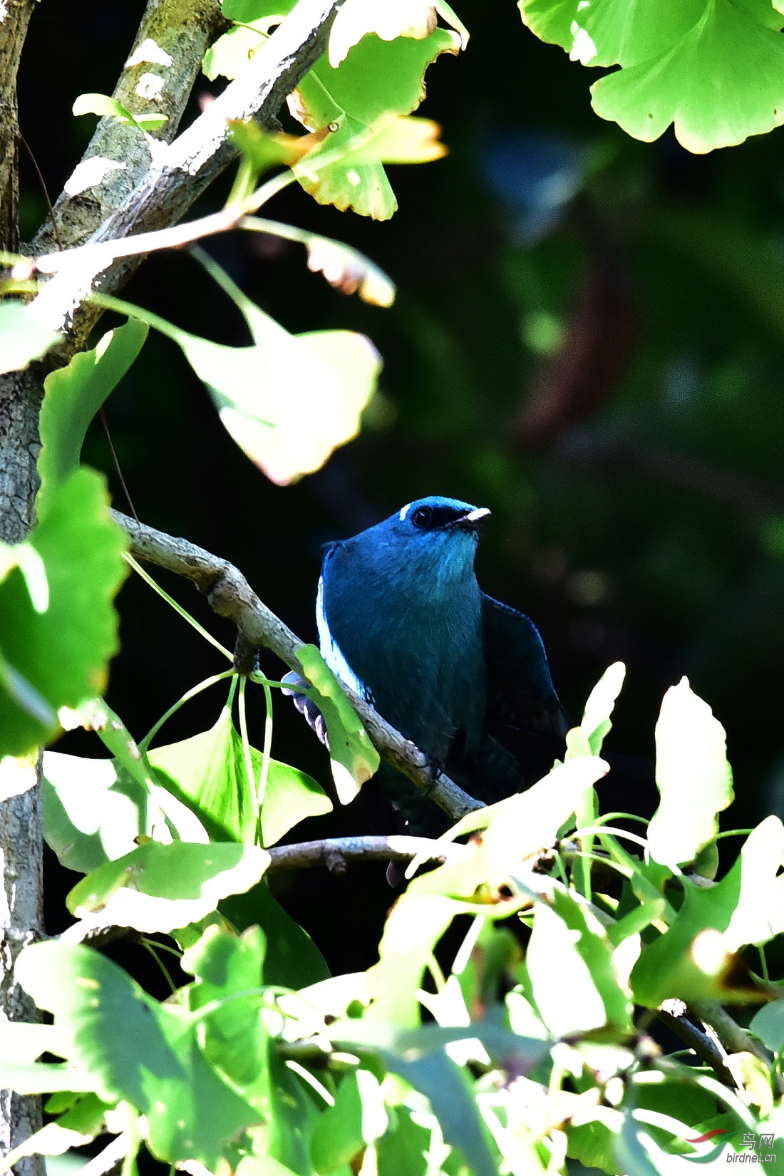DSC_0342.JPG