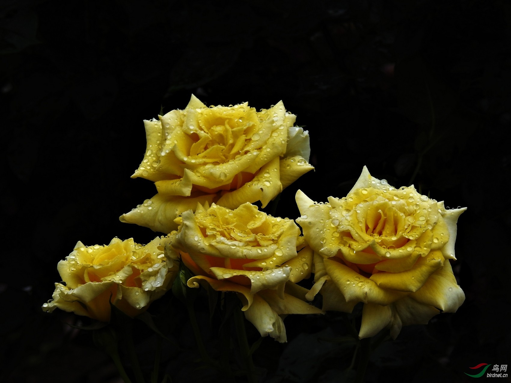 DSCN5777.JPG