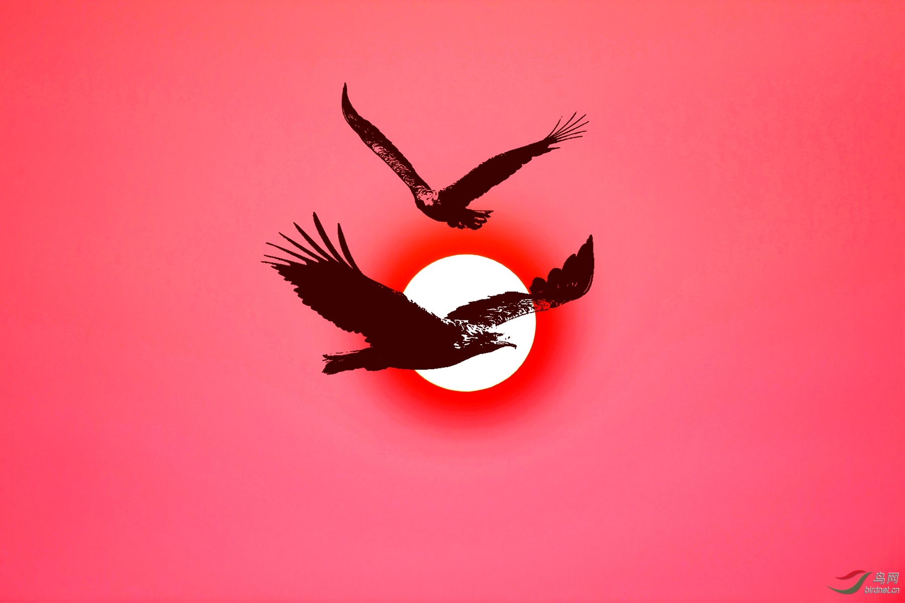 IYK_0287_���� ����_����.jpg