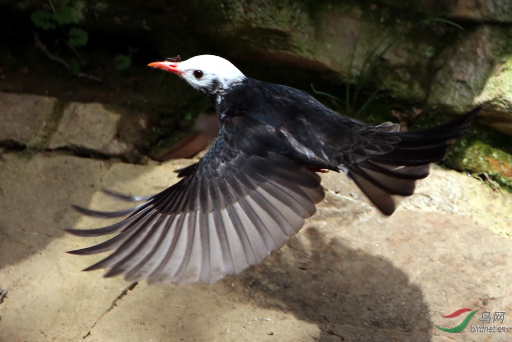 PX0A5060 ����.jpg