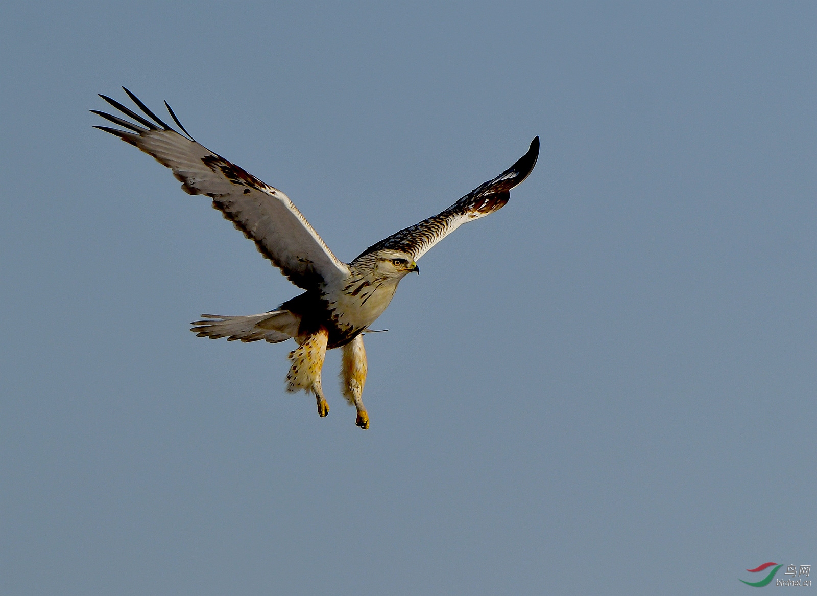 1DSC_0925_����.jpg