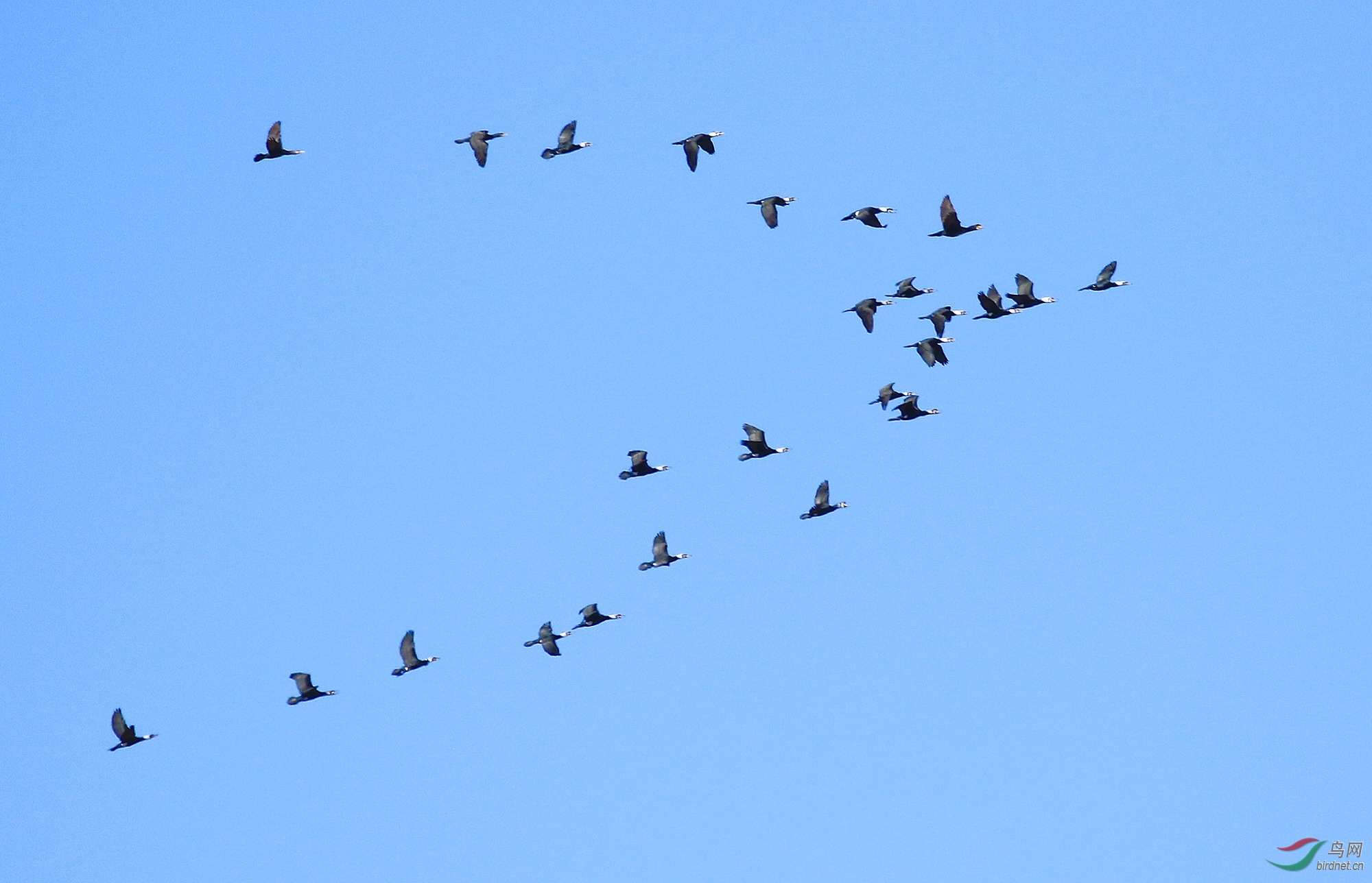 ��ȥ����Զ�����ķ����ɣ���ͨ��ˣ�8230.jpg