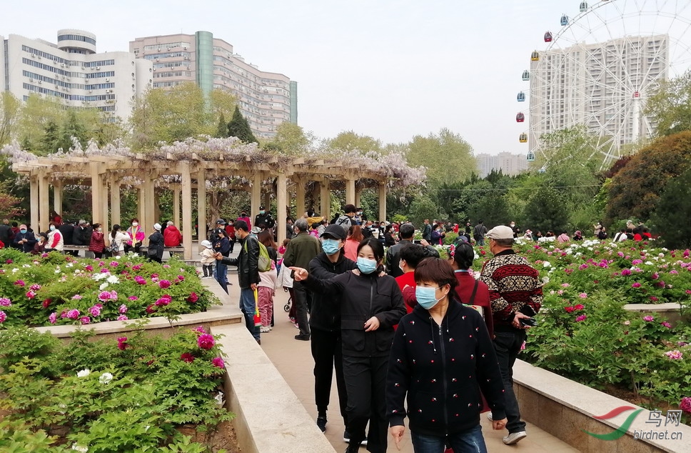 1 - ����.jpg