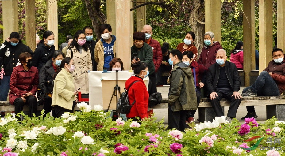 2 - ����.jpg