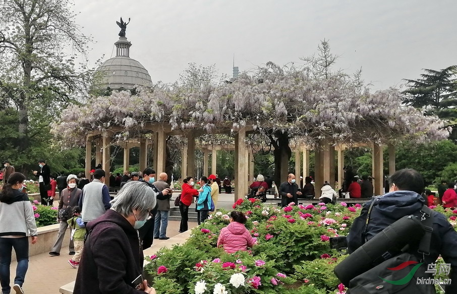 4 - ����.jpg