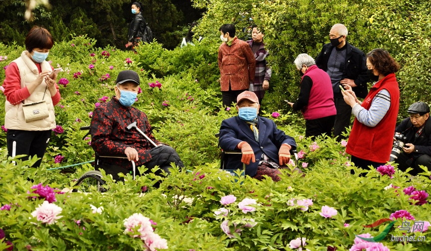 5 - ����.jpg