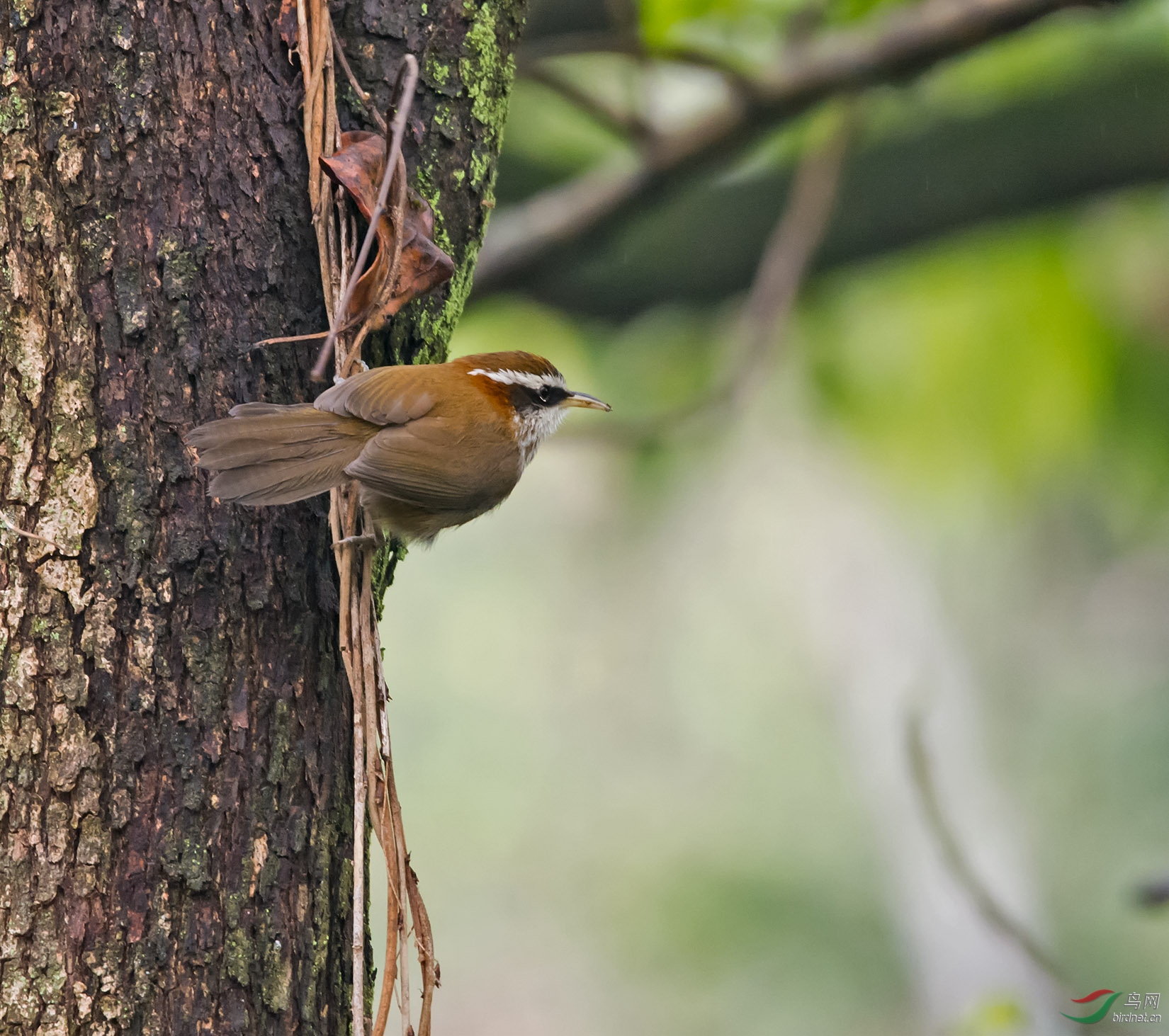 DSC_6911.jpg