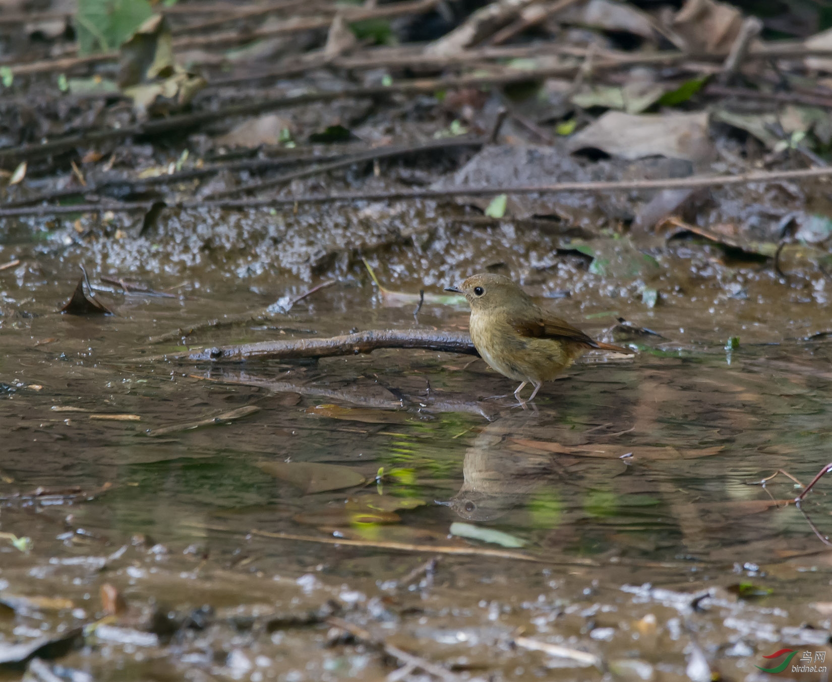 DSC_5298.jpg