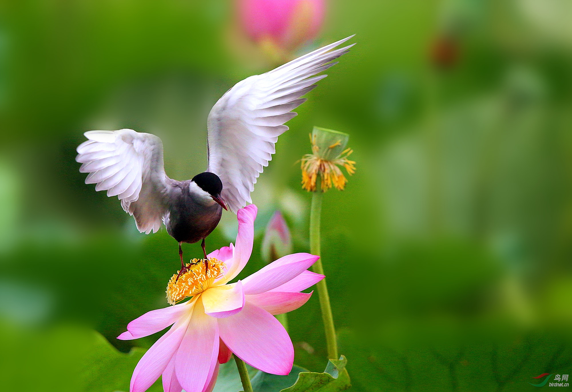 H46R5537_����_���� (2).jpg