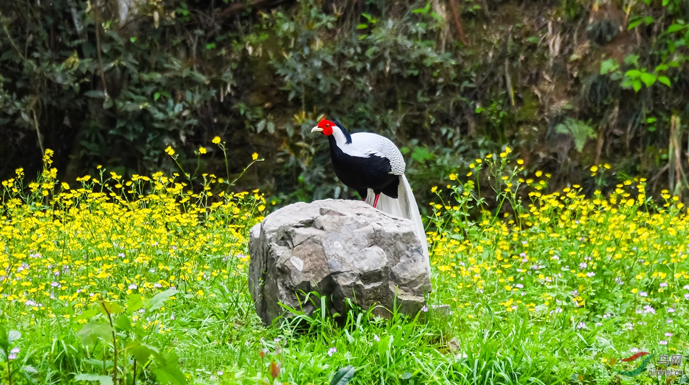 DSC_6726.JPG