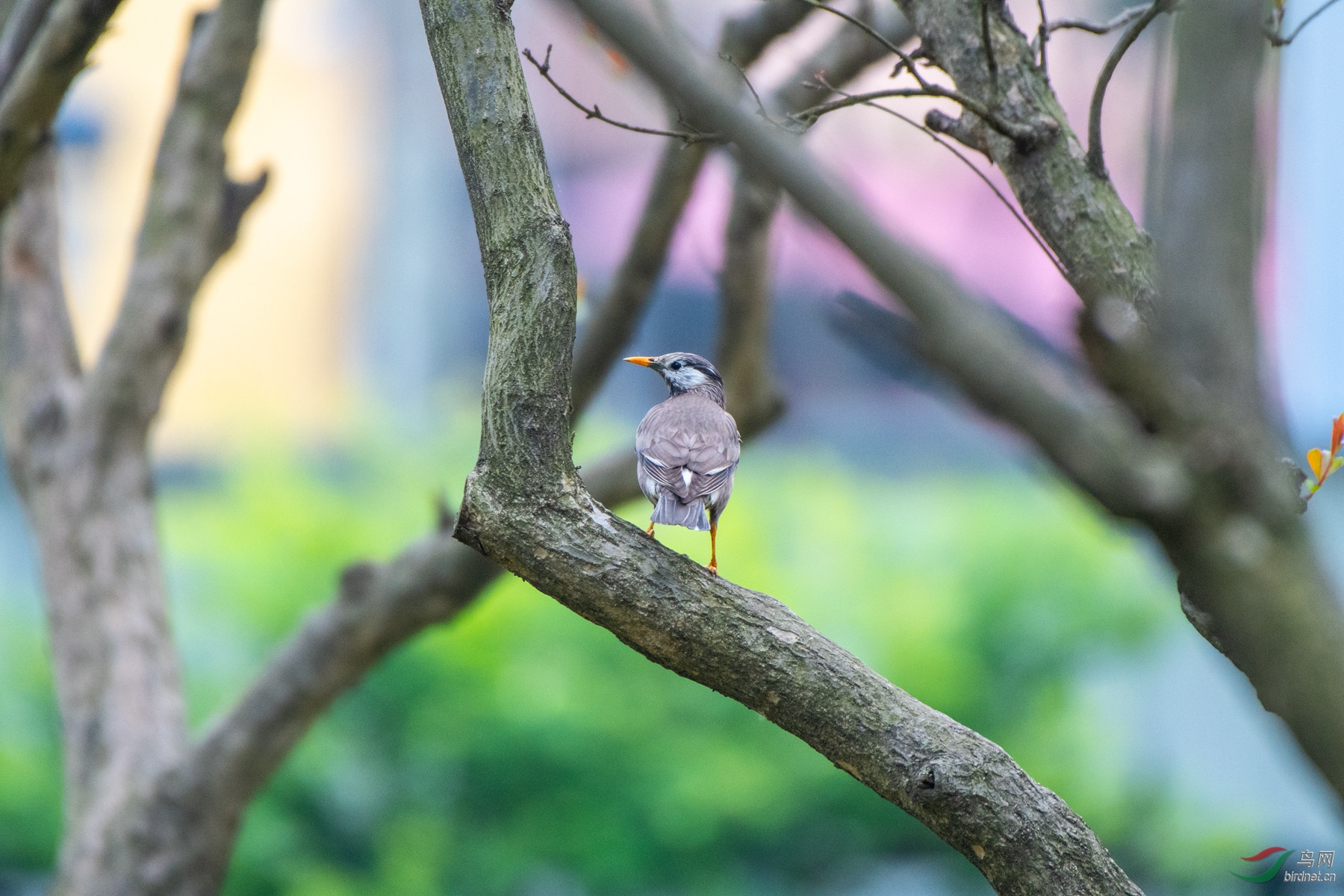 DSC_3225_����.jpg