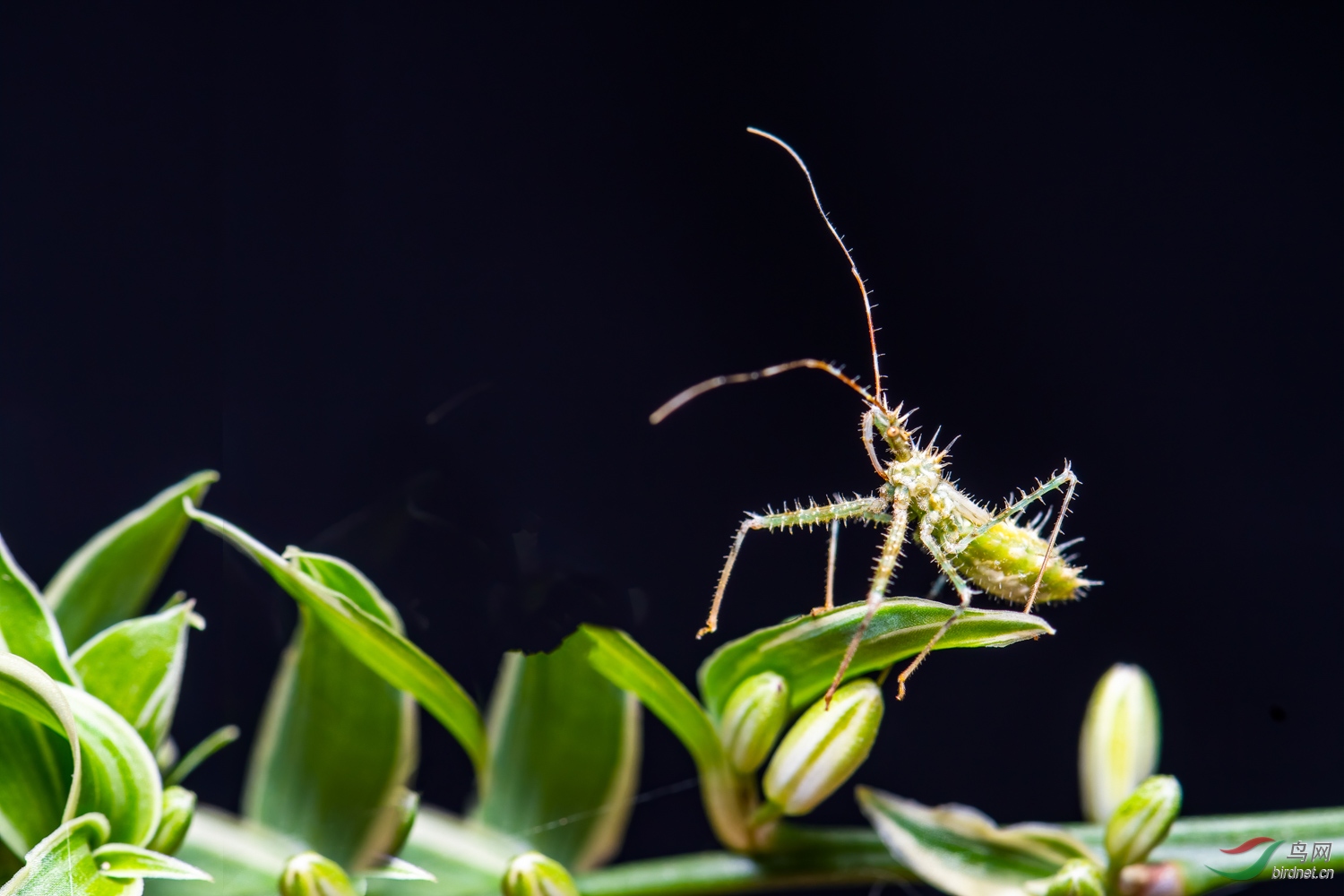 _DSC7464_1.jpg