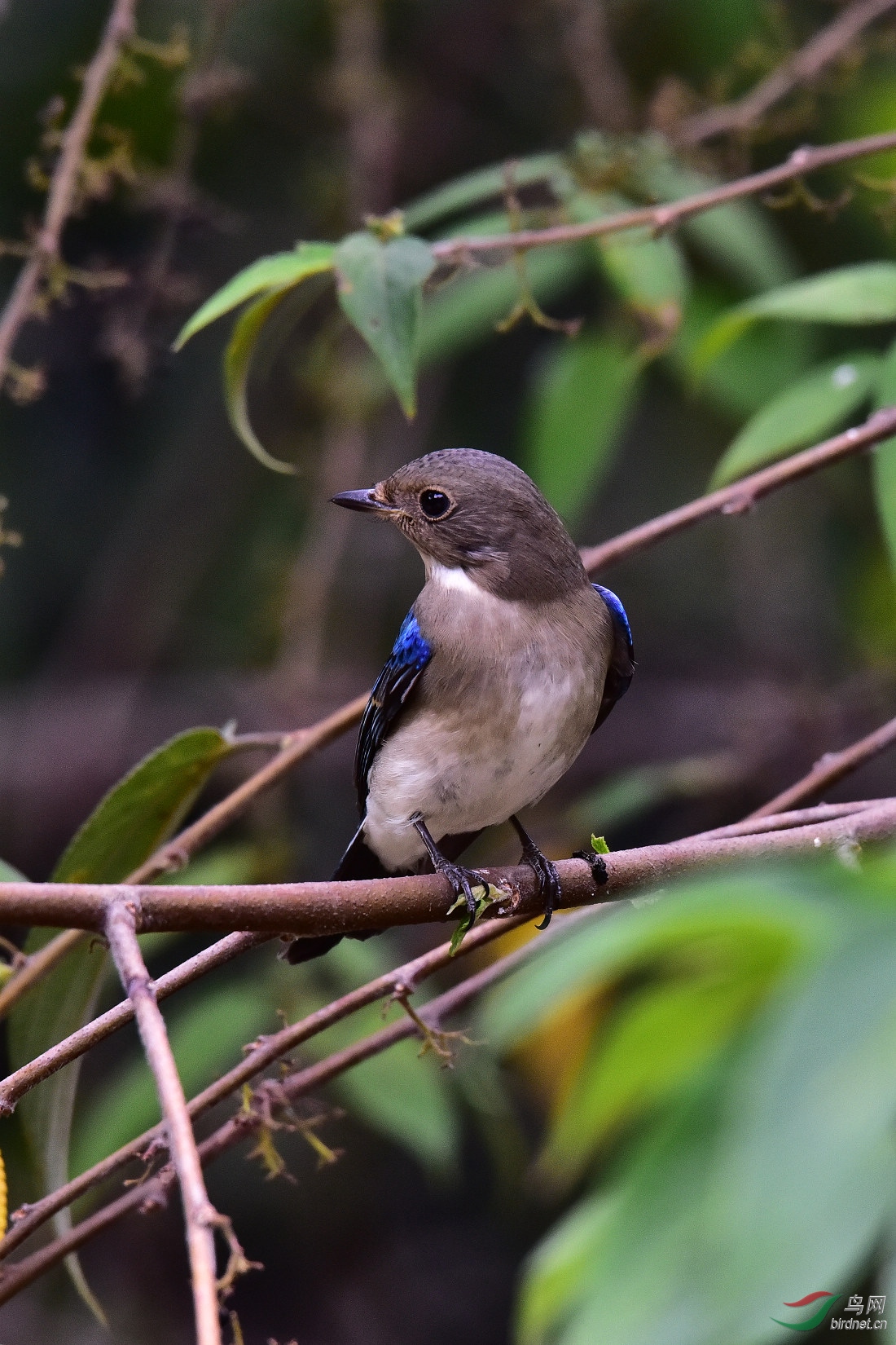 DSC_0351.JPG
