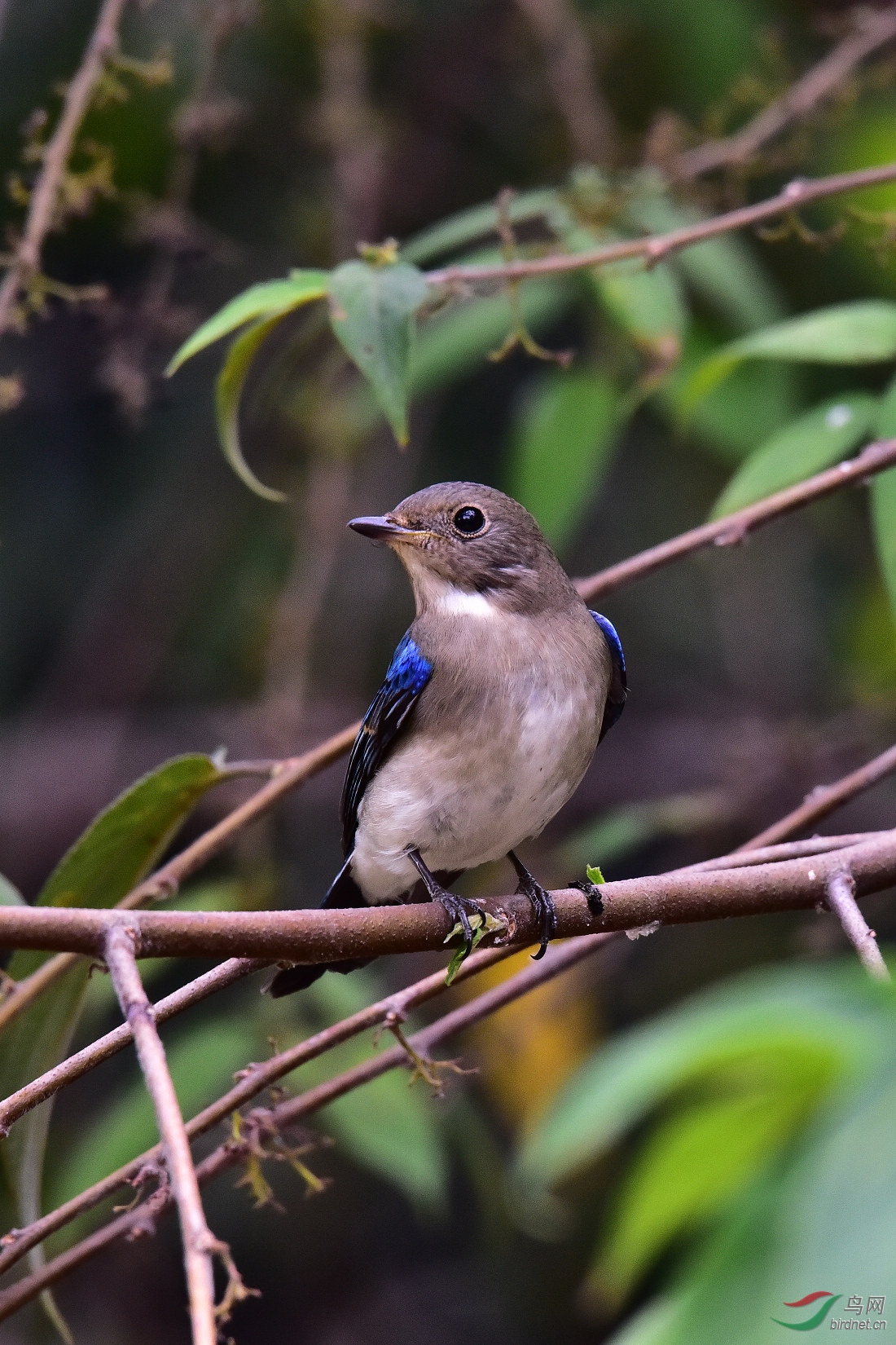 DSC_0352.JPG