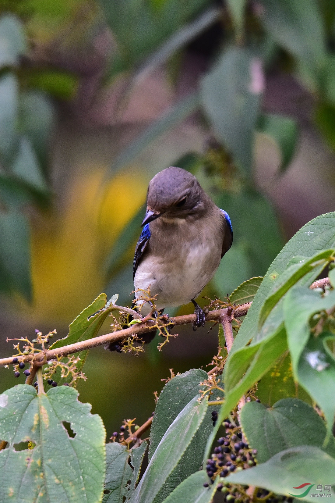 DSC_0355.JPG