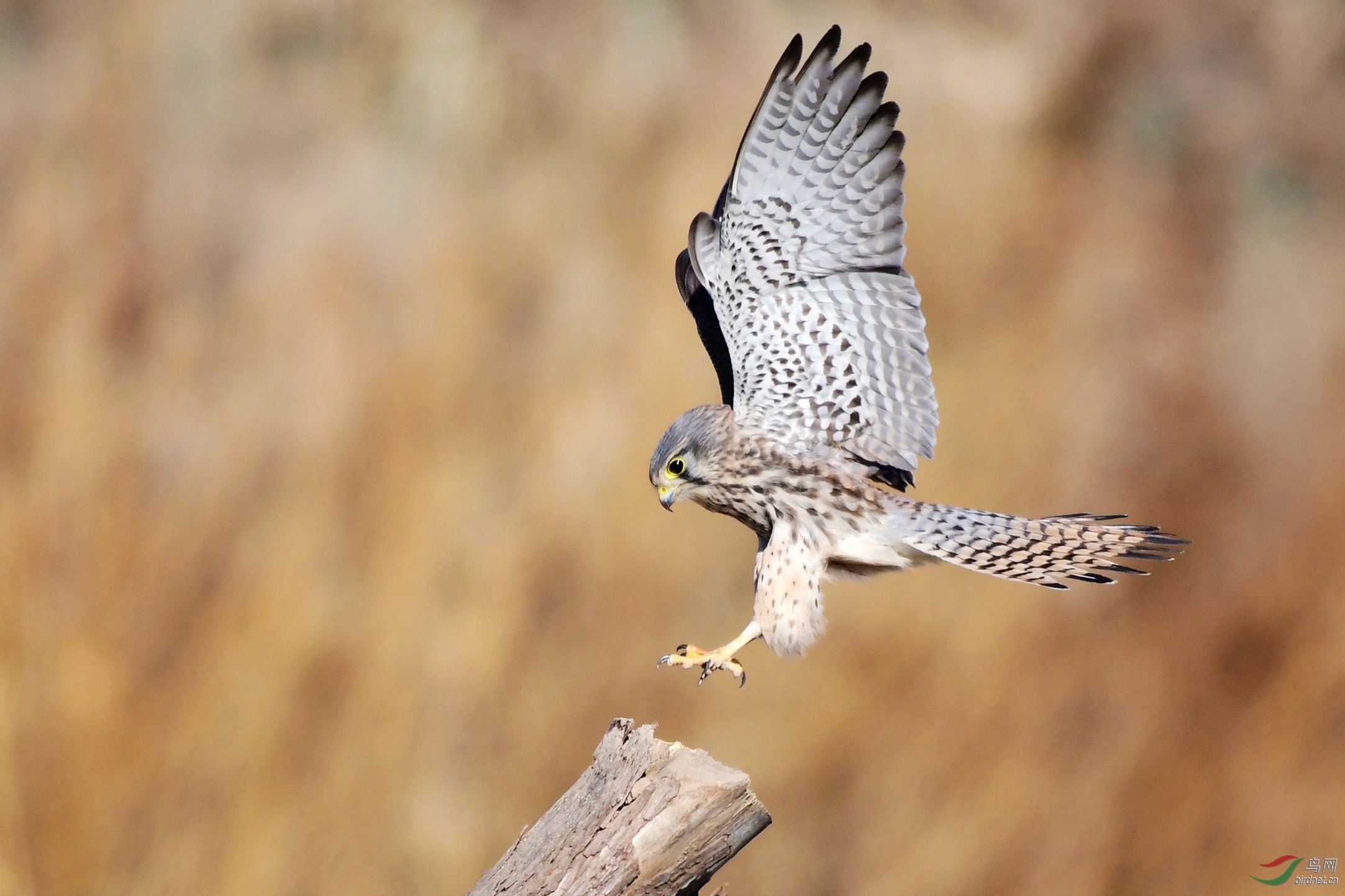 ���� 012.JPG