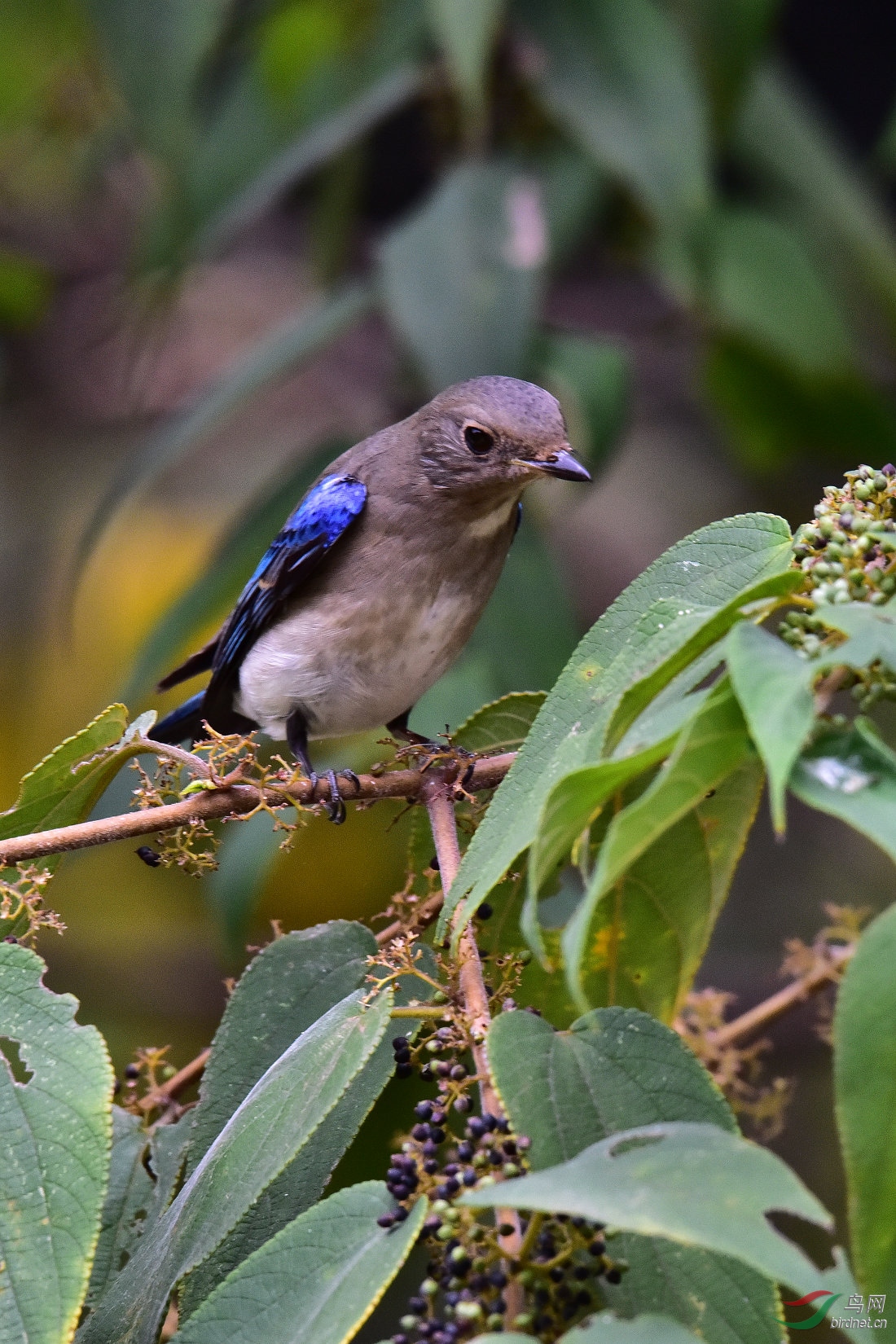DSC_0357.JPG