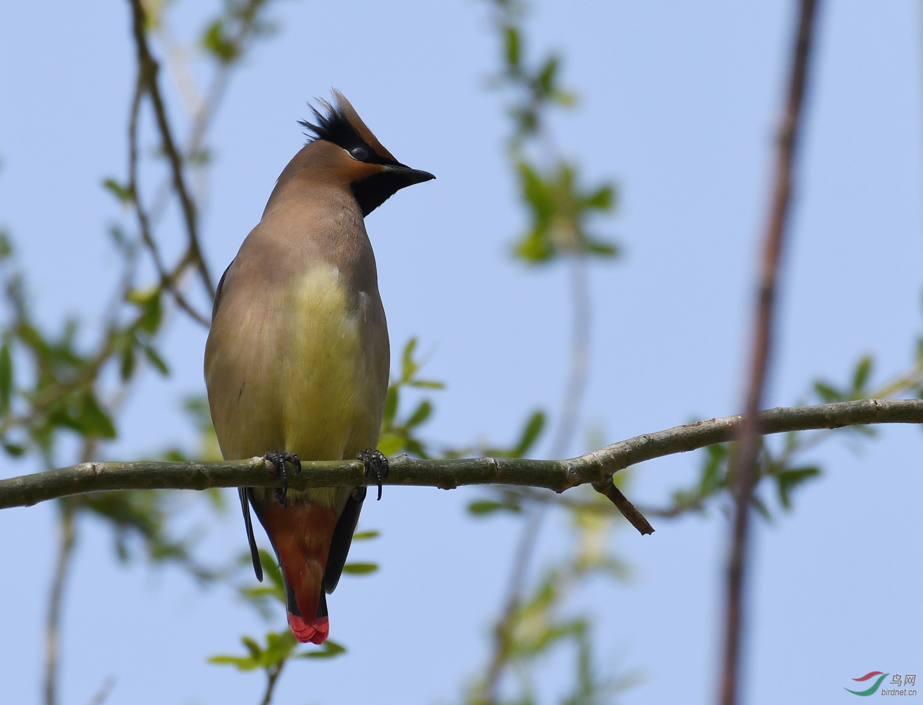 ������Ӱ 399����.jpg