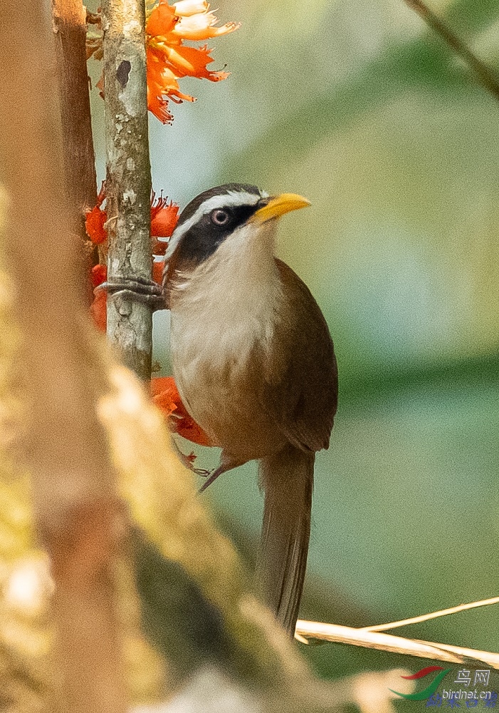 DSC_2288.jpg