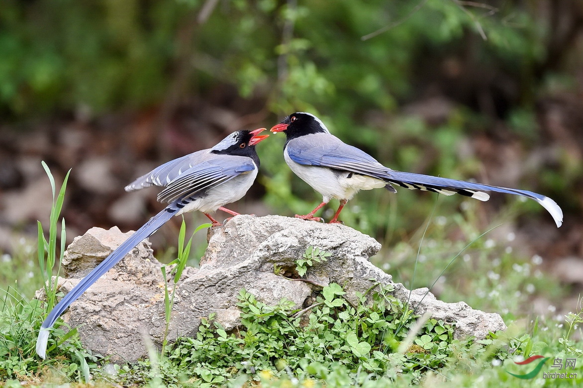 DSC_3256.JPG