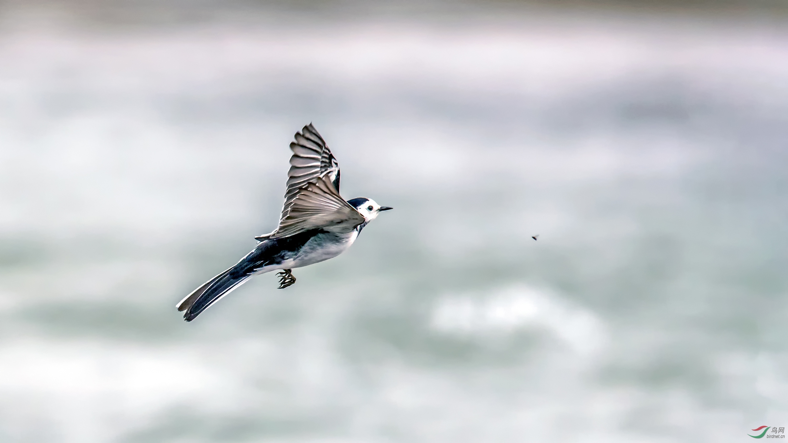 _DSC1769_��ͼ��.jpg