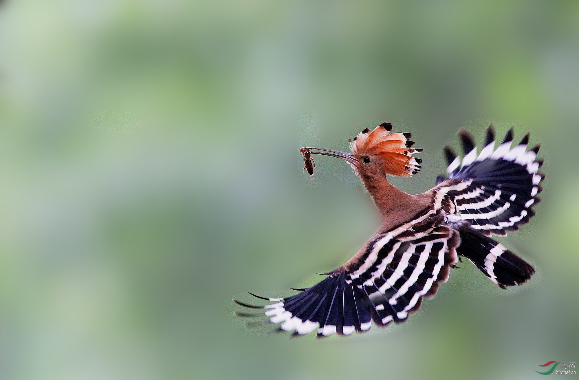 H46R7753_���� (2)_����.jpg