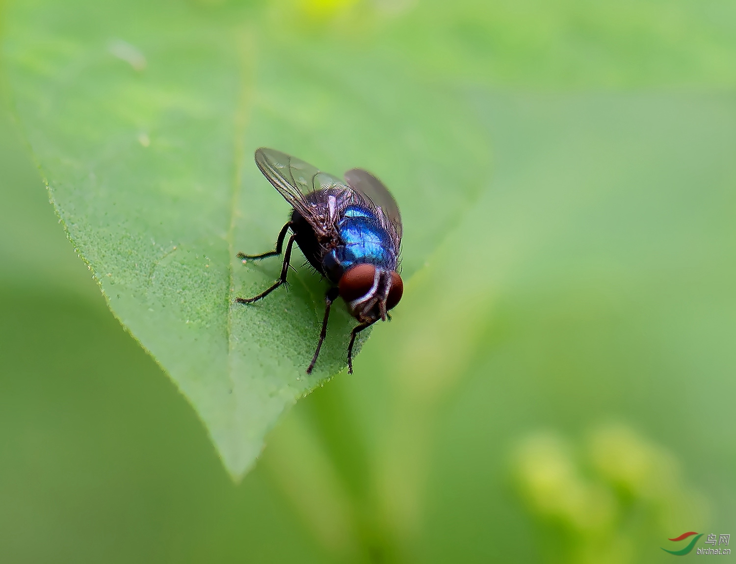 DSC_0789.jpg