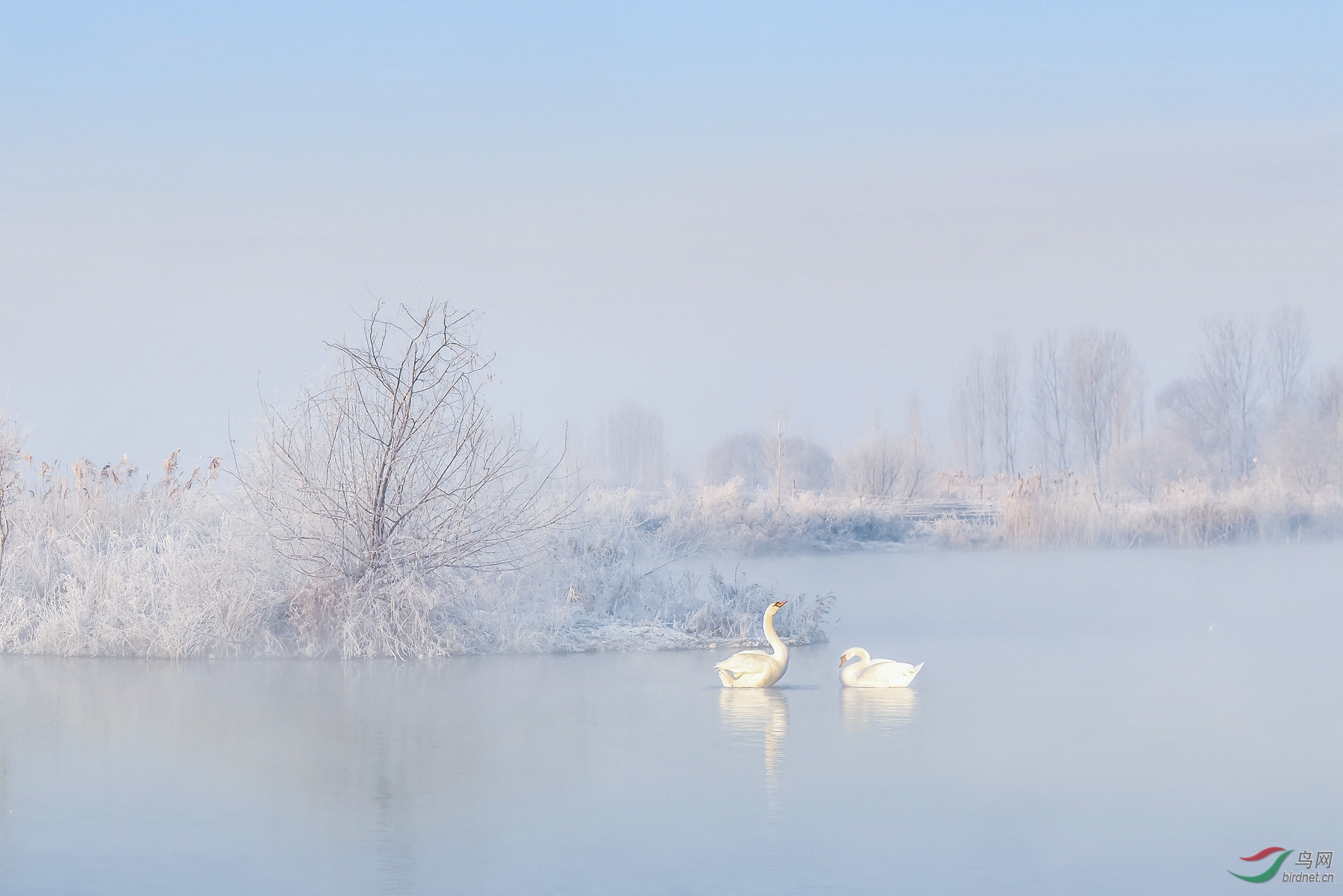 DSC_6894-2_����.jpg