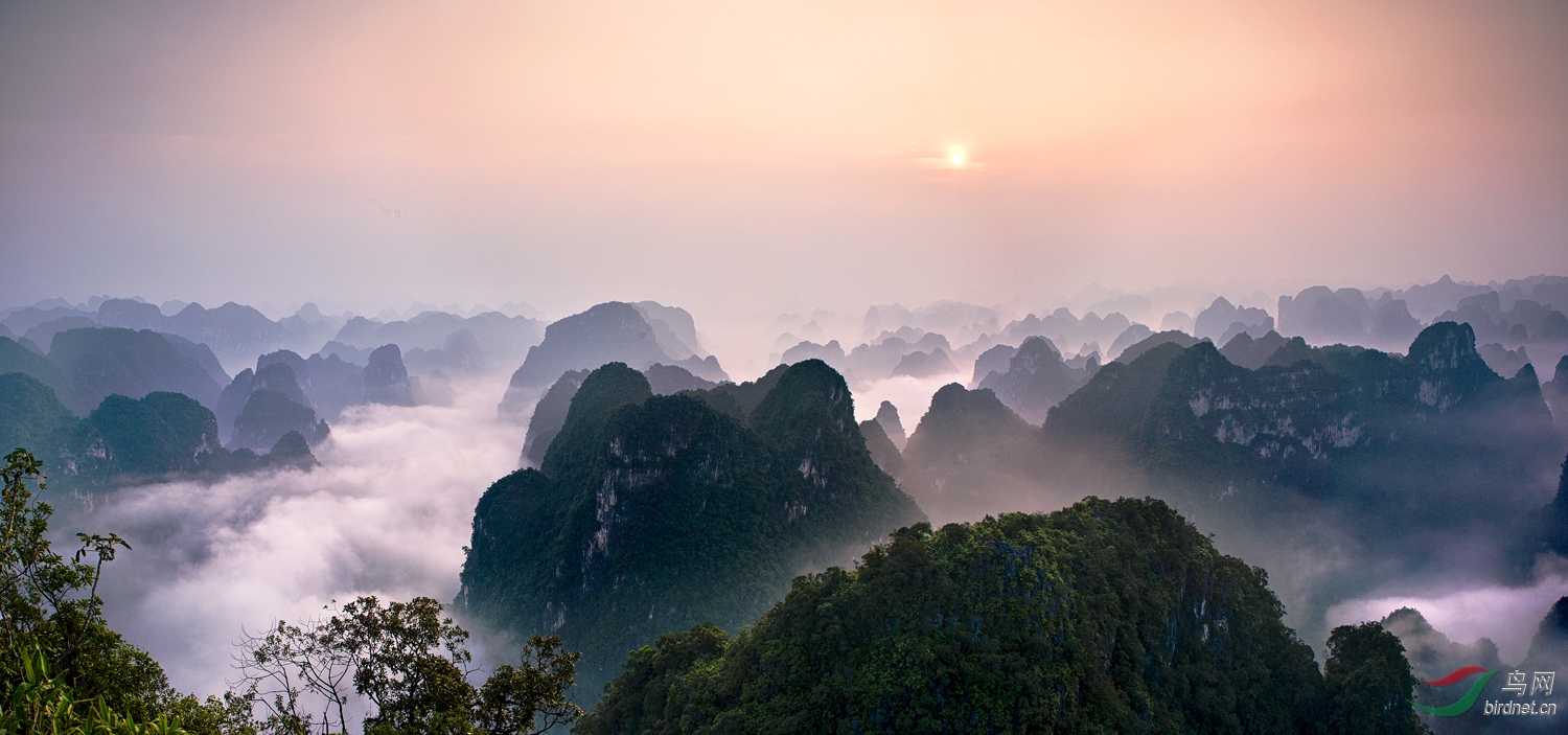 秘境弄岗