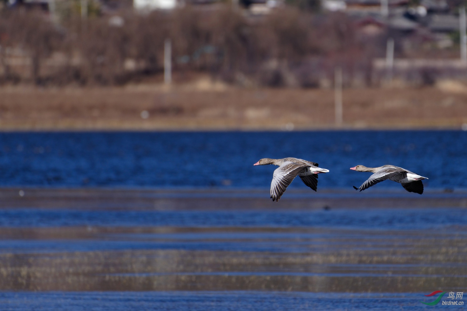 �������100������