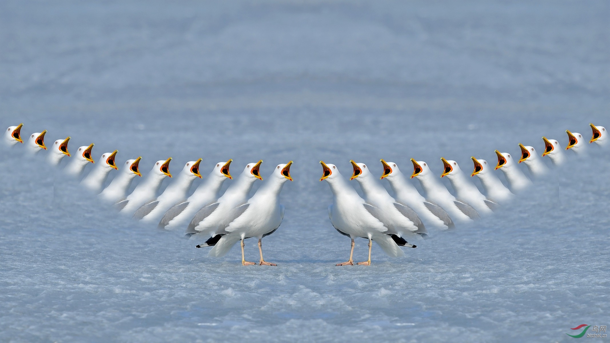 IYK_5844 ����_����.jpg