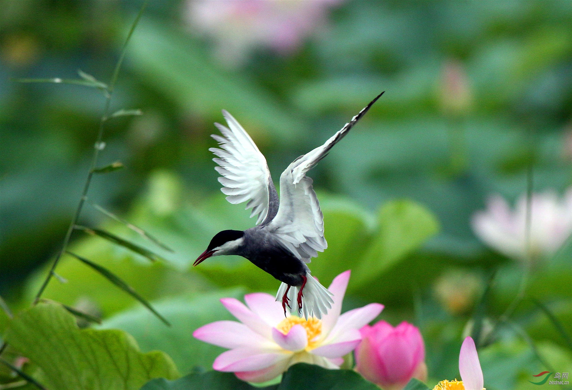 H46R5688_����_���� (2).jpg