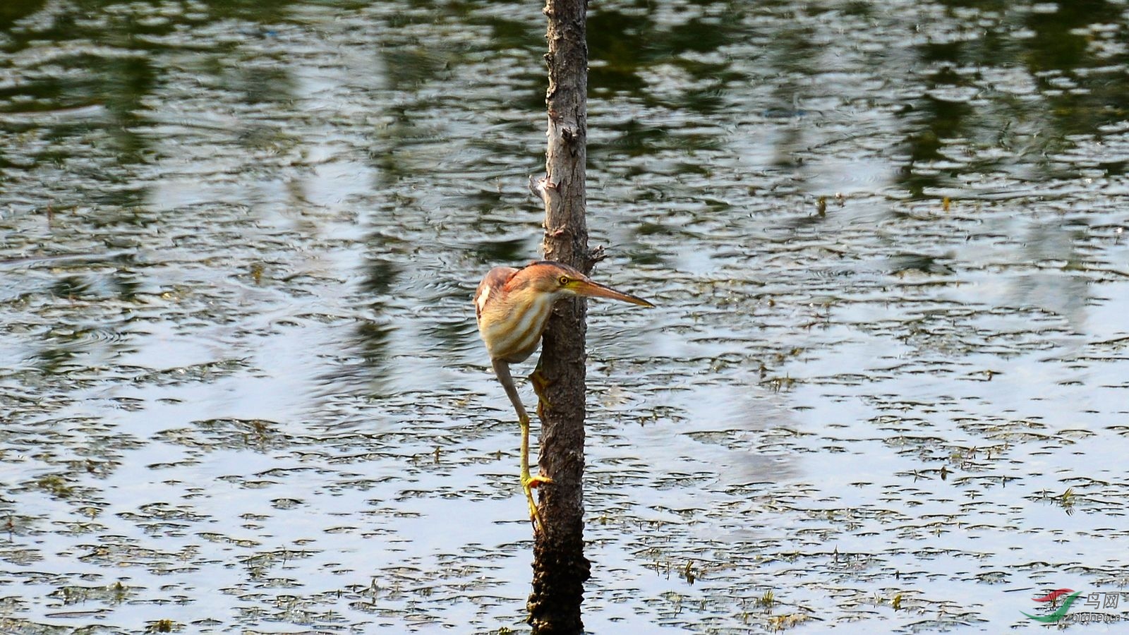 DSC_5747.JPG
