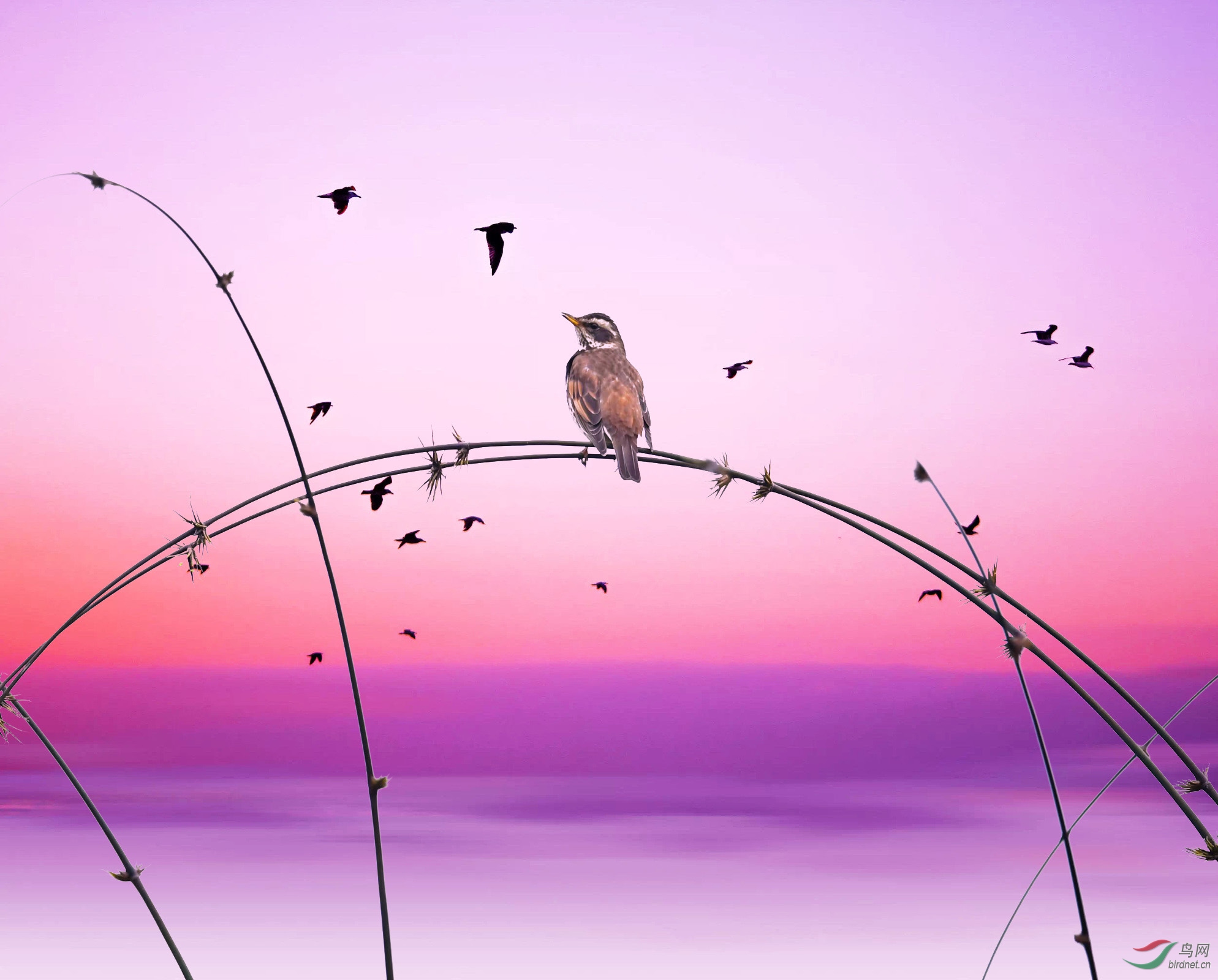 IMG_1938 - ����.JPG