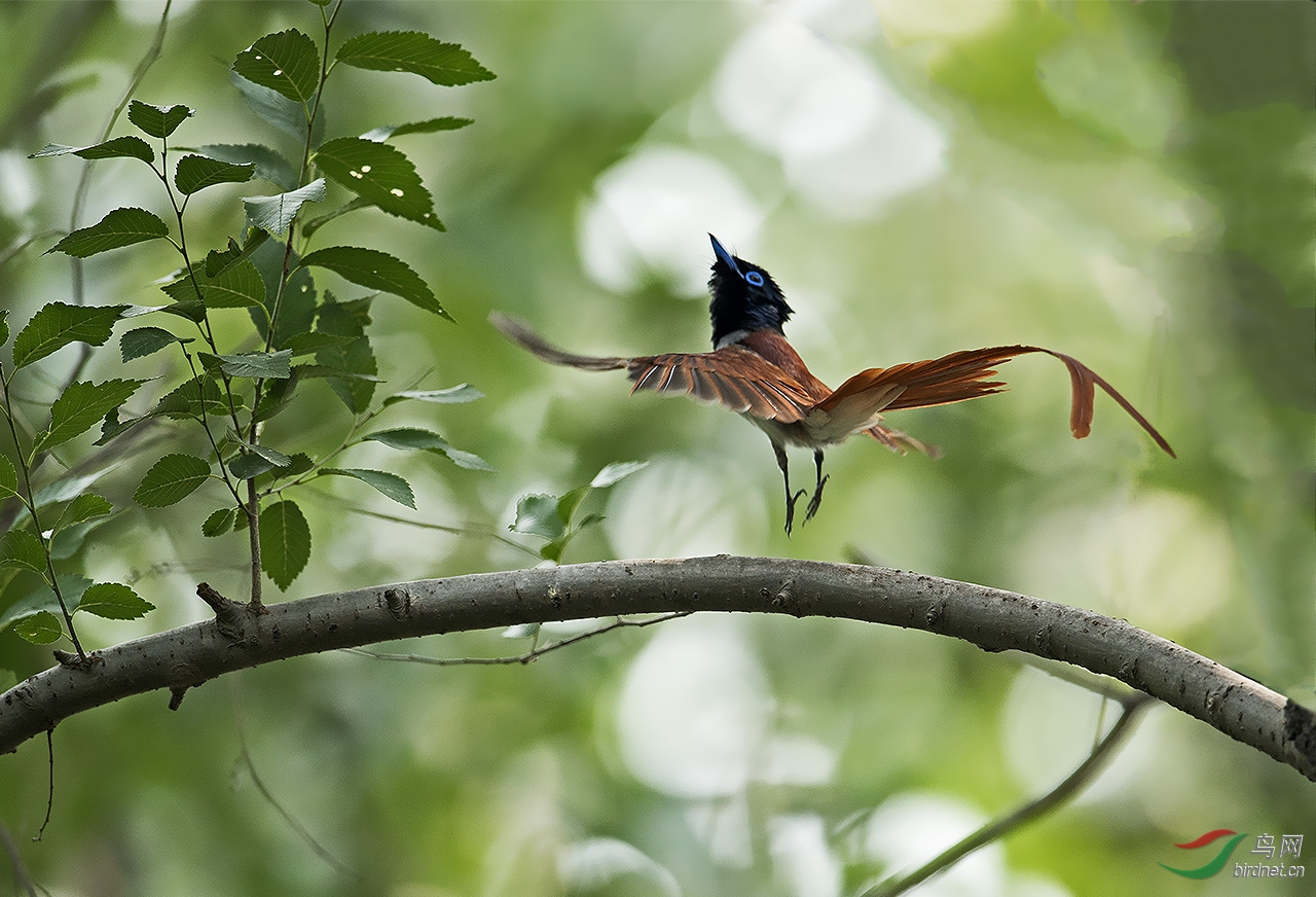 DSC_5156-0-0.jpg
