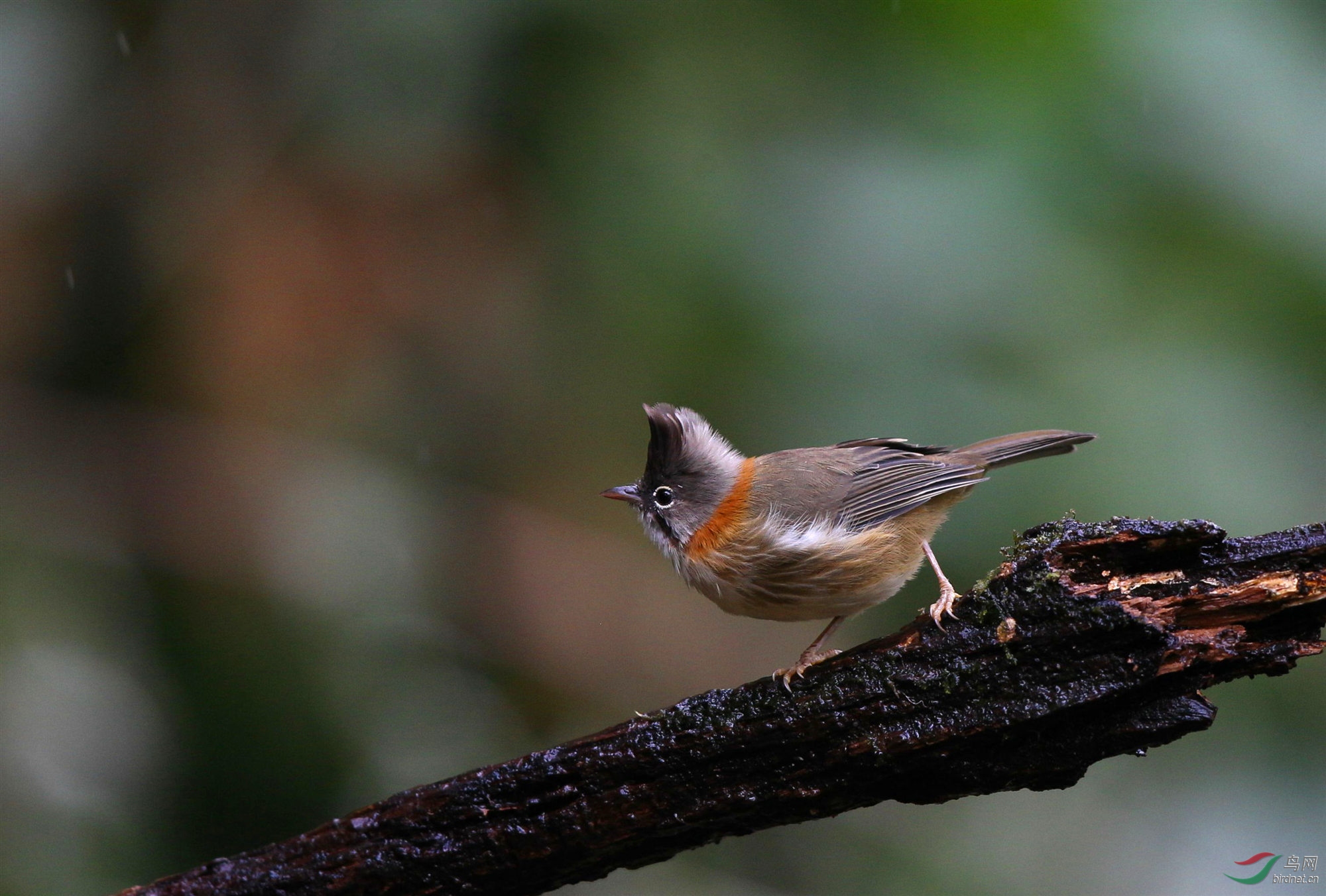 H46R1080_����_���� (2).jpg