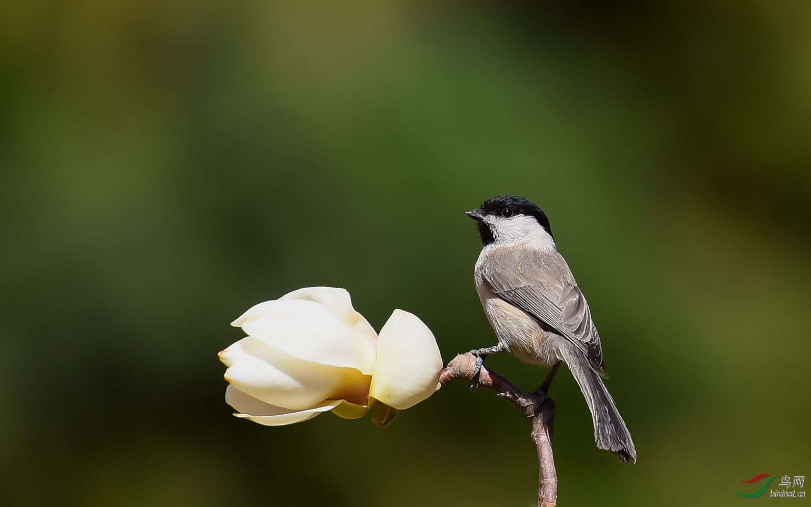 DSC_6077_����.jpg
