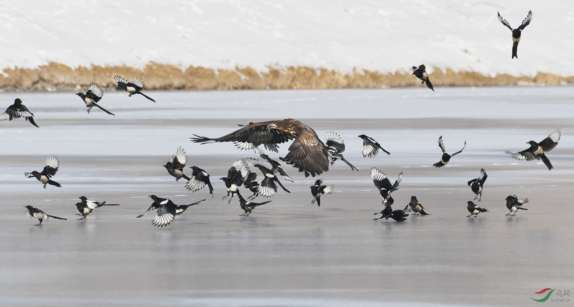 ������Ӱ 316����.jpg