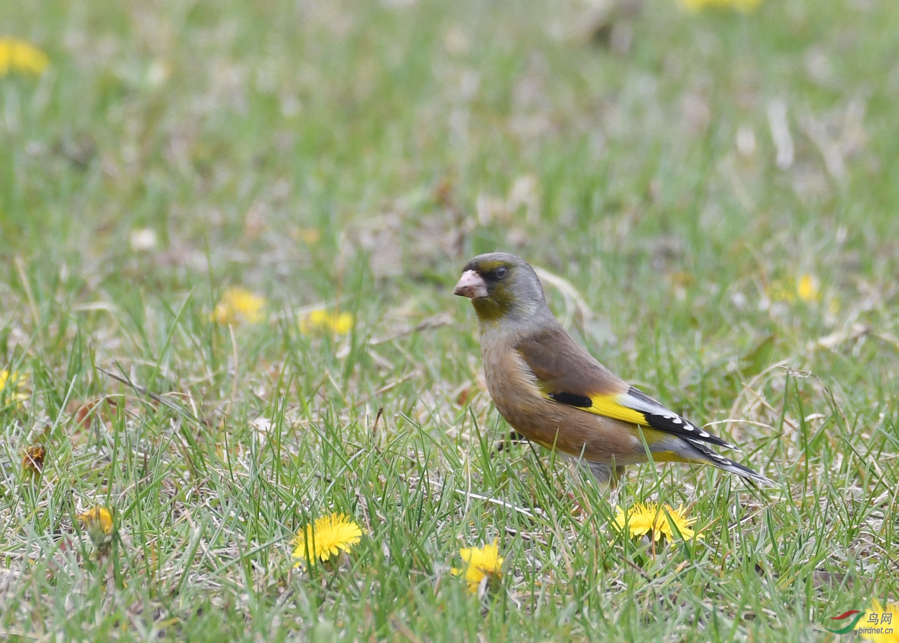 快乐摄影 1376副本.jpg