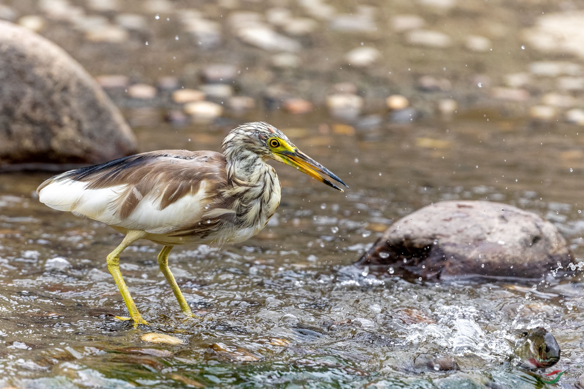 IMG_5892_DxO.jpg