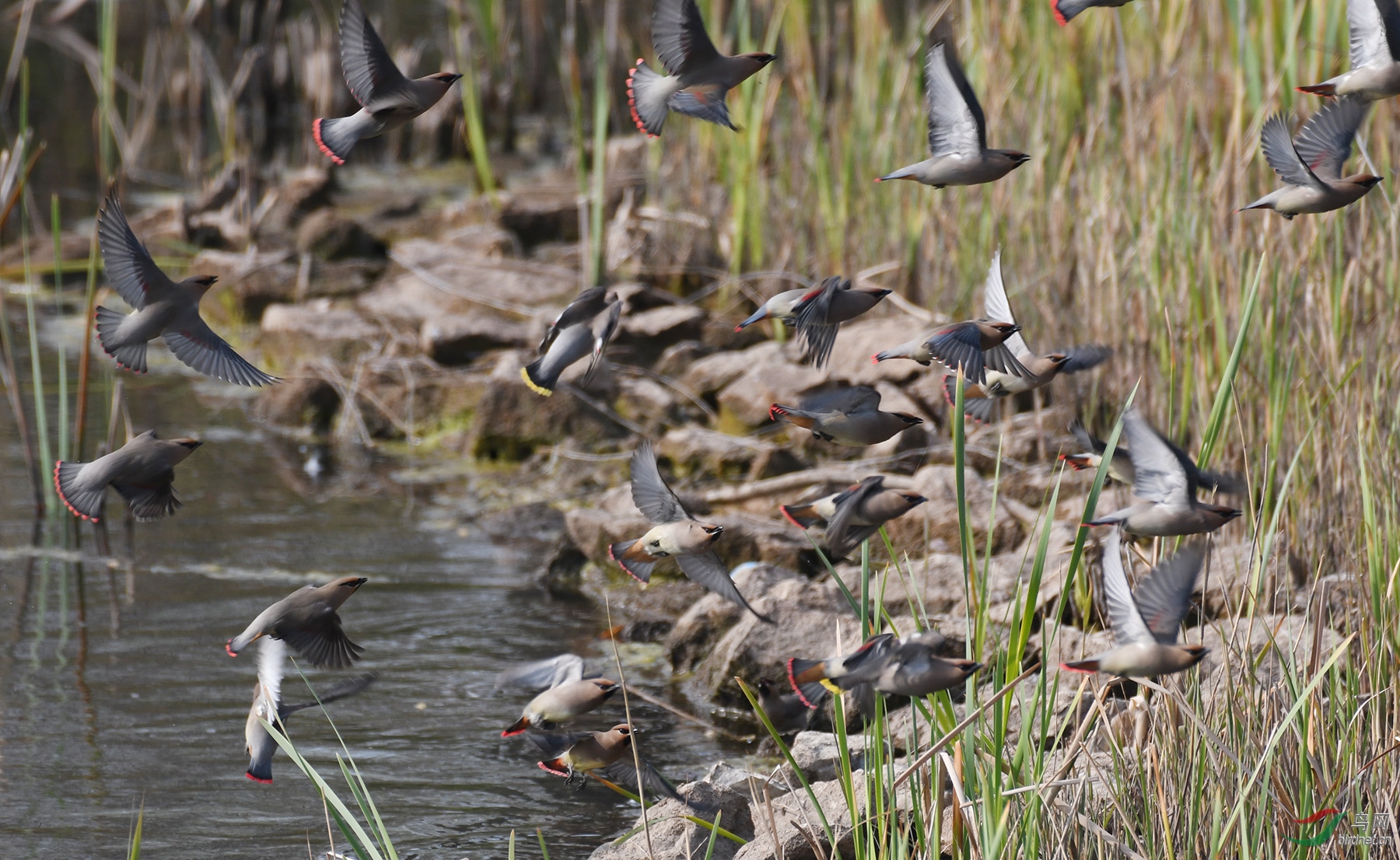 ������Ӱ 215����.jpg